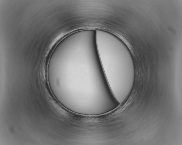 X0000110891083200906181001
