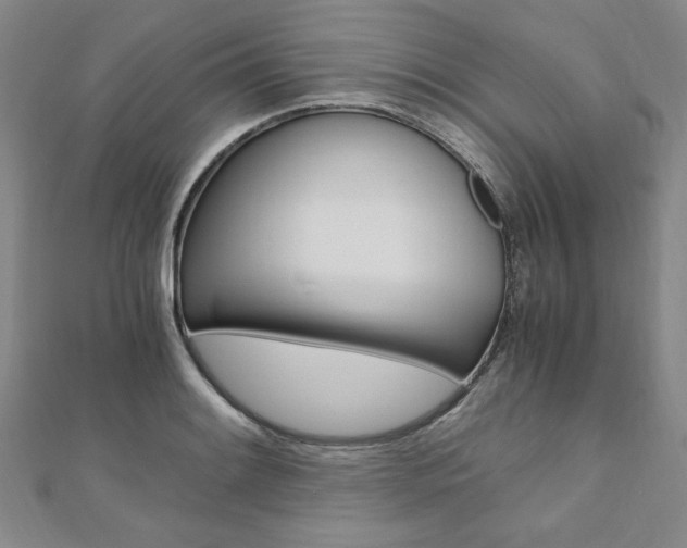 X0000110891084200906181001