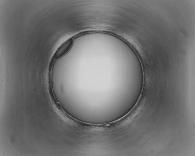 X0000110891085200906181001