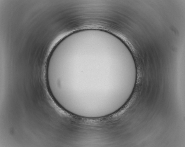 X0000110891086200906181001