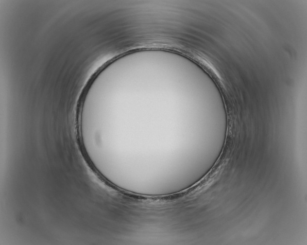 X0000110891087200906181001