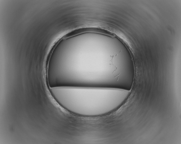 X0000110891088200906181001