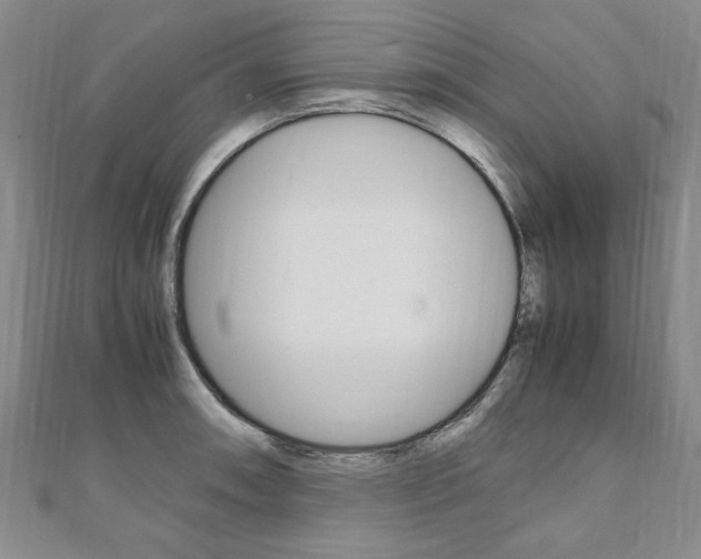 X0000110891090200906181001