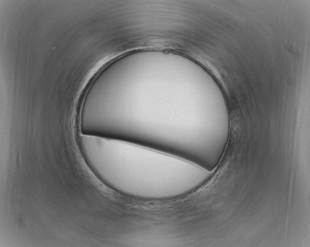X0000110891091200906181001