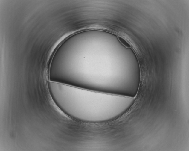 X0000110891092200906181001