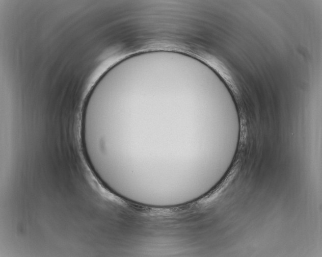 X0000110891094200906181001