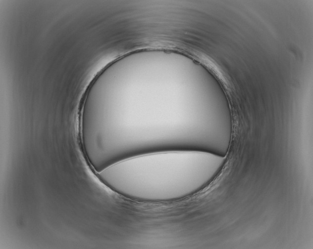 X0000110891095200906181001