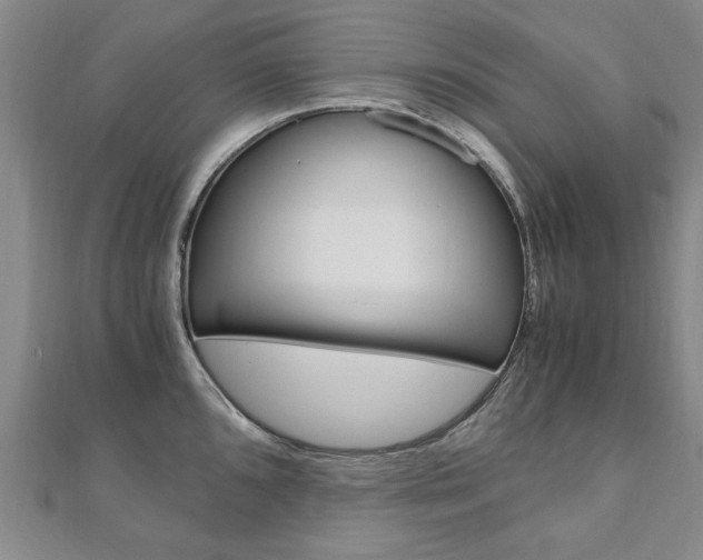 X0000110891096200906181001