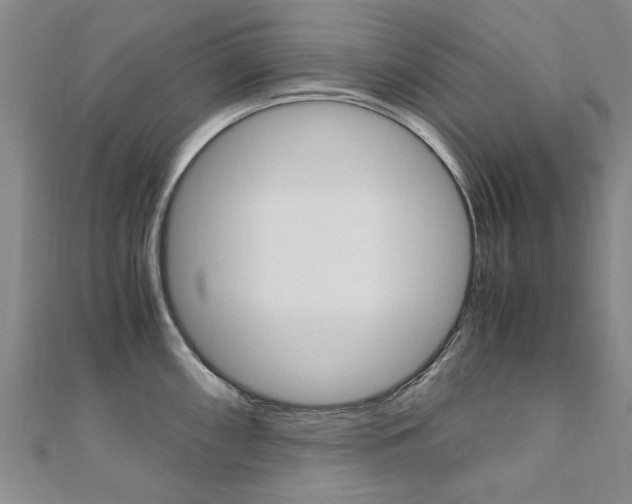X0000110891098200906181001