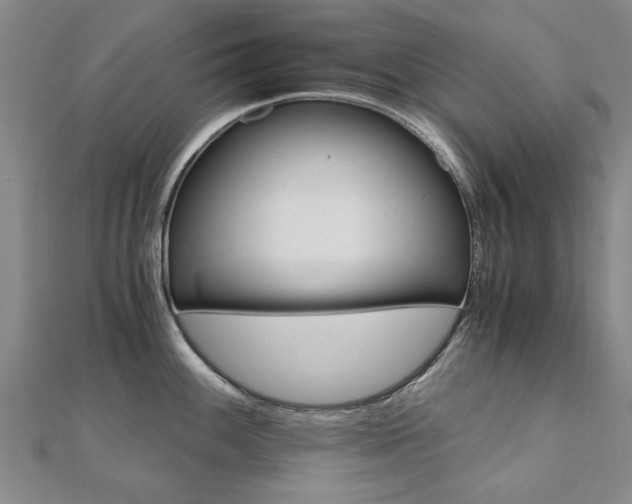 X0000110891100200906181001