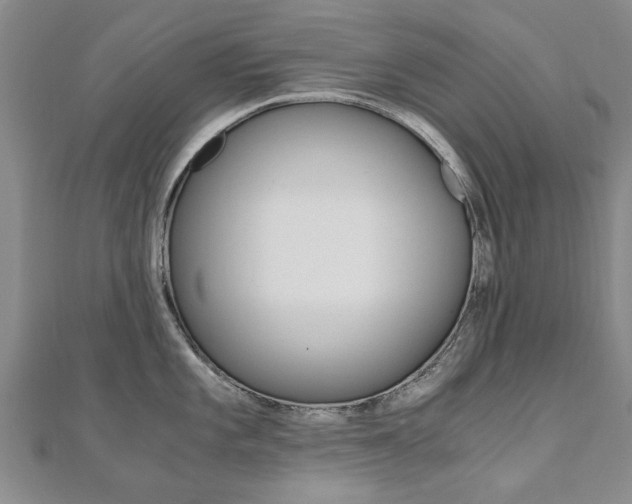 X0000110891101200906181001