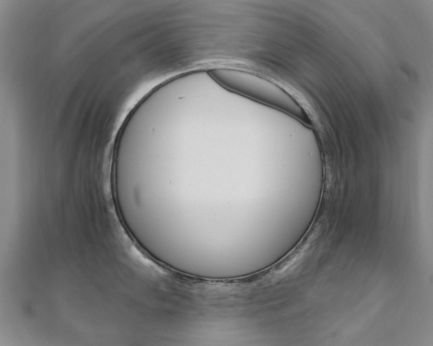 X0000110891102200906181001