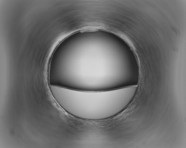 X0000110891104200906181001