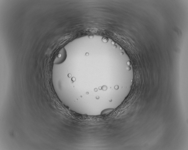 X0000110891105200906181000