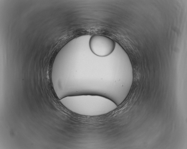 X0000110891106200906181000