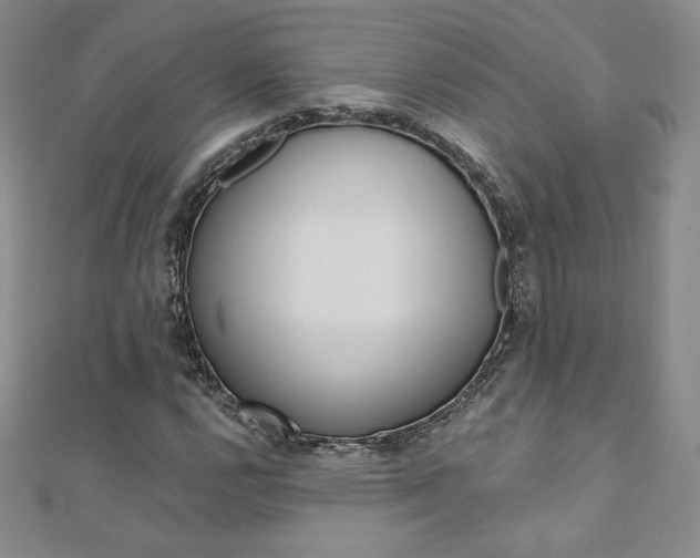 X0000110891112200906181000