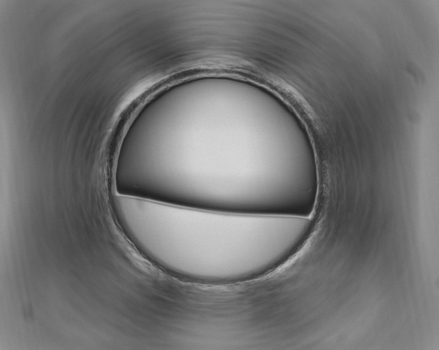 X0000110891114200906181000