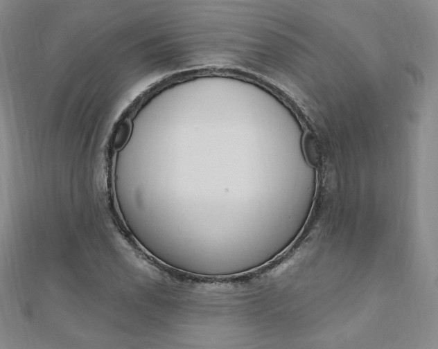 X0000110891118200906181000