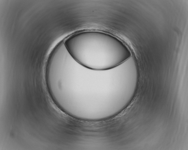 X0000110891120200906181000