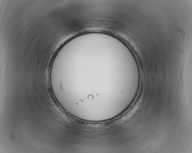 X0000110891121200906181000