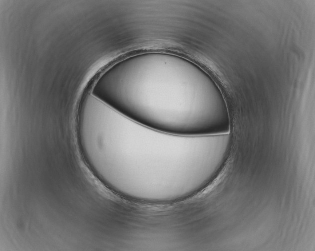 X0000110891122200906181000