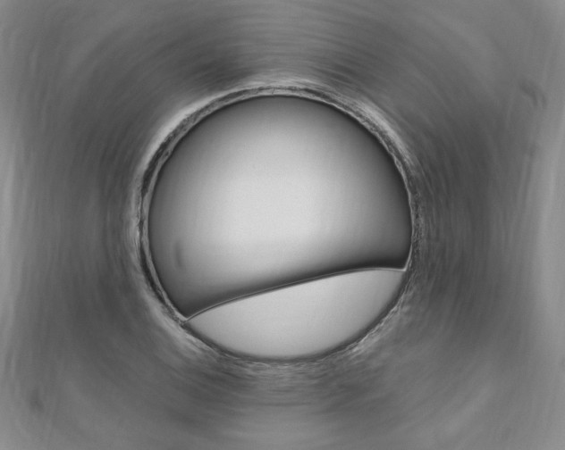 X0000110891124200906181000