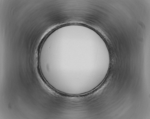 X0000110891126200906181000