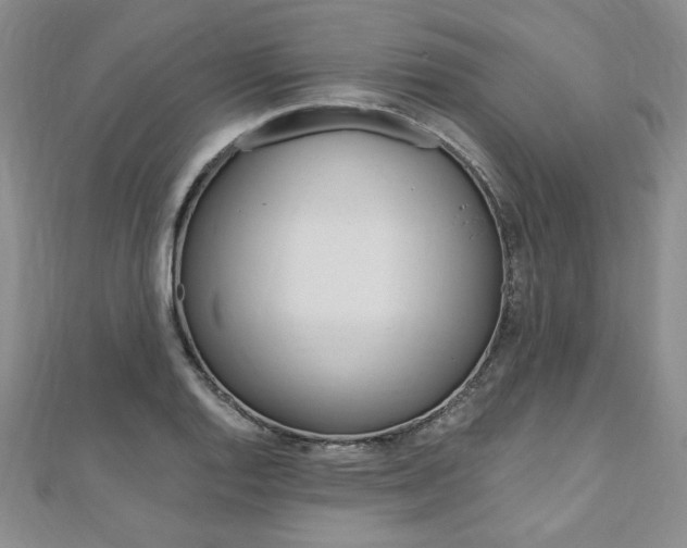 X0000110891128200906181000