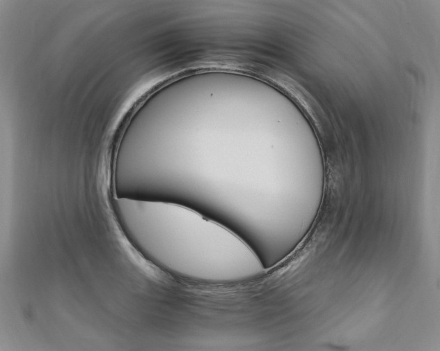 X0000110891131200906181000