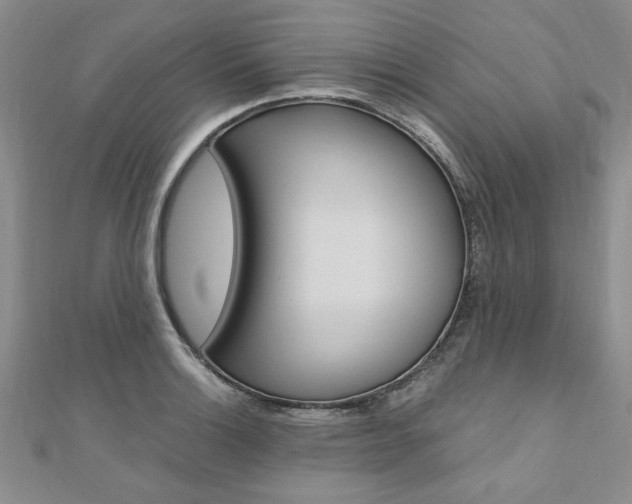 X0000110891132200906181000