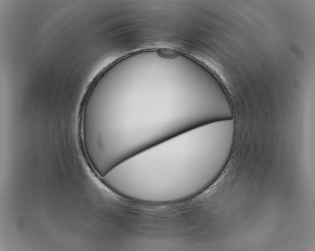 X0000110891135200906181000