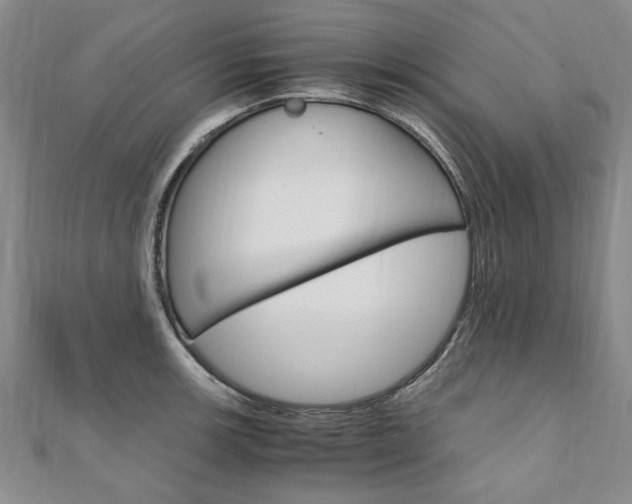 X0000110891139200906181000