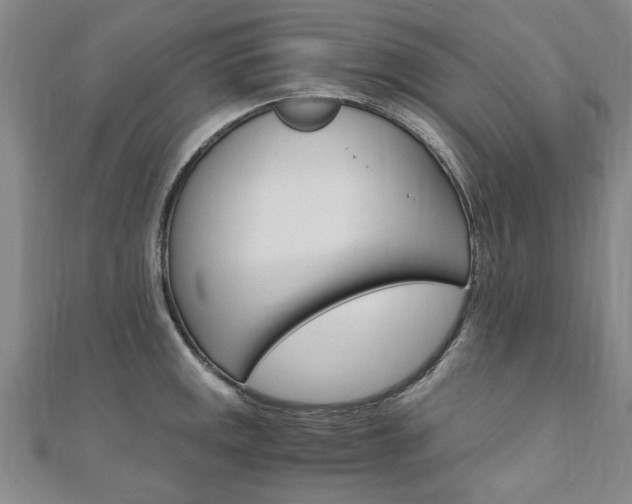 X0000110891141200906181000