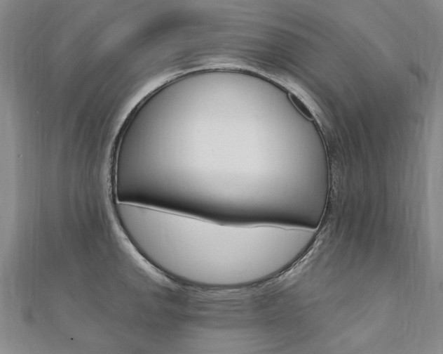X0000110891142200906181000