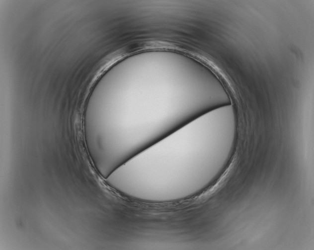 X0000110891145200906181000