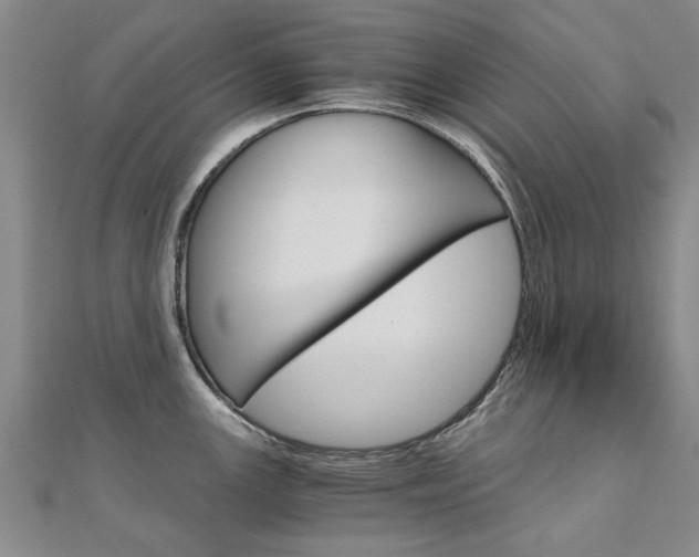 X0000110891147200906181000