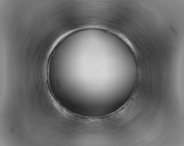 X0000110891148200906181000