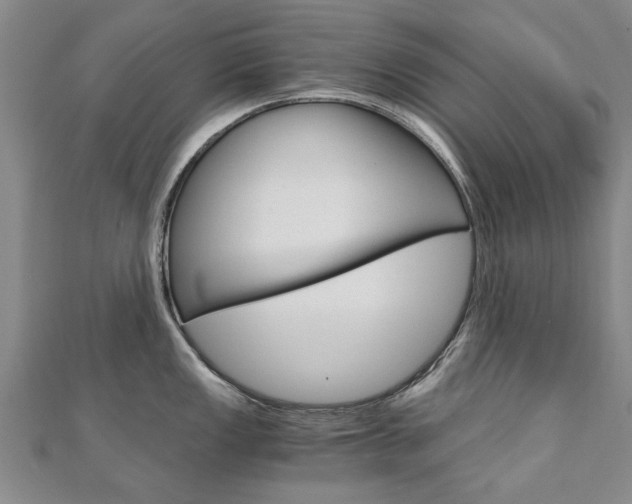 X0000110891149200906181001