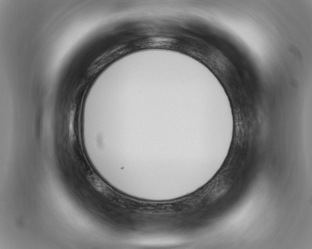 X0000110891150200906181001