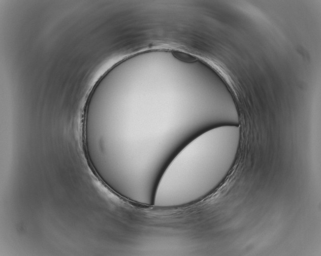 X0000110891151200906181001