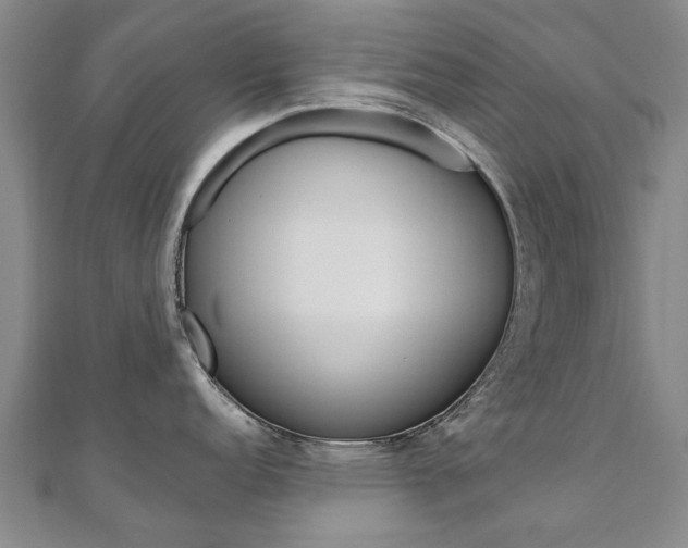 X0000110891152200906181001