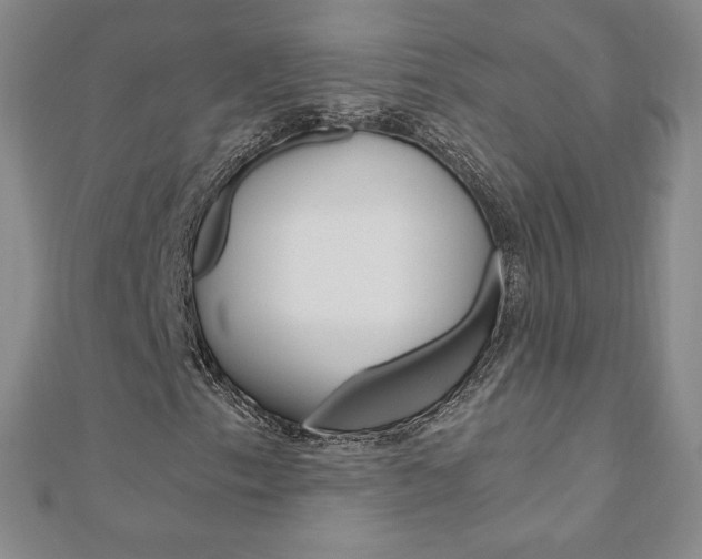 X0000110891153200906181000
