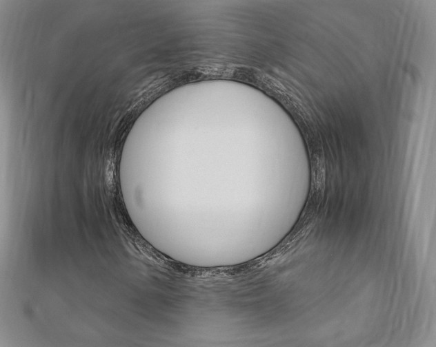 X0000110891154200906181000