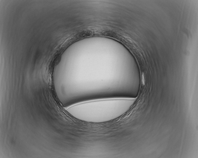 X0000110891155200906181000