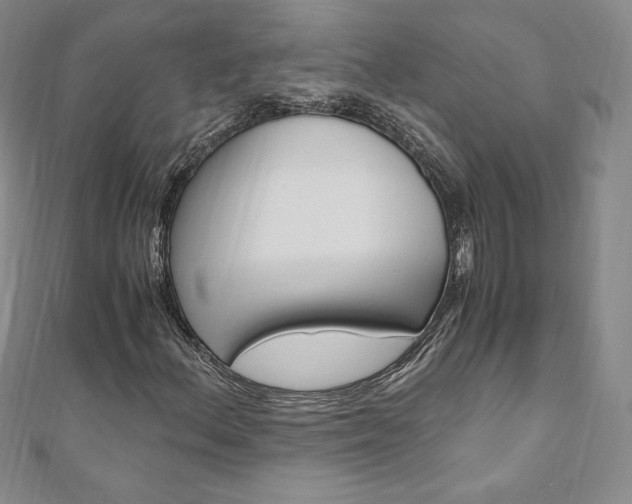 X0000110891156200906181000