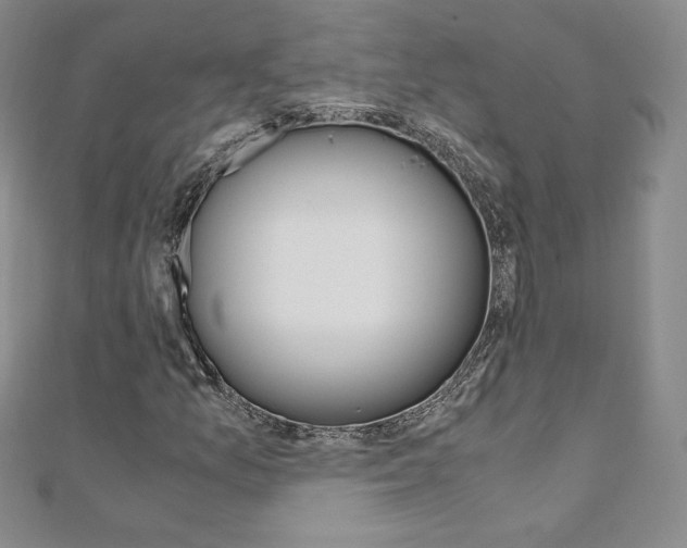 X0000110891157200906181000