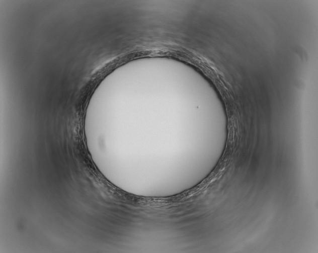 X0000110891158200906181000