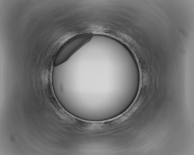 X0000110891161200906181000