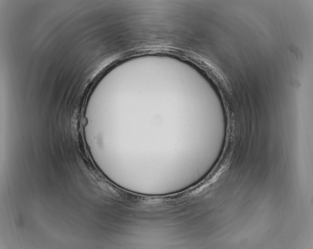 X0000110891162200906181000