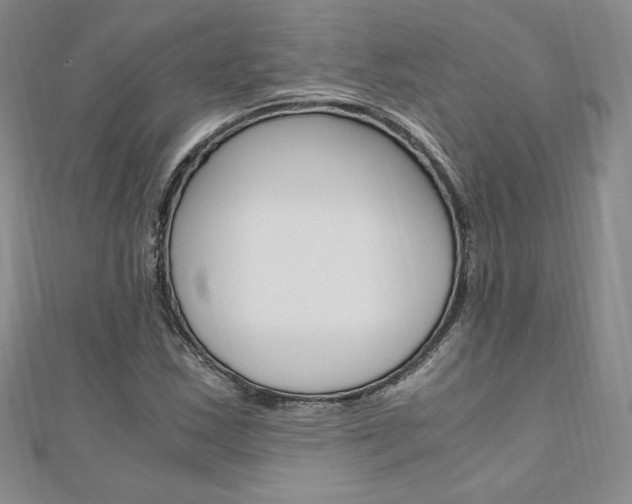 X0000110891163200906181000